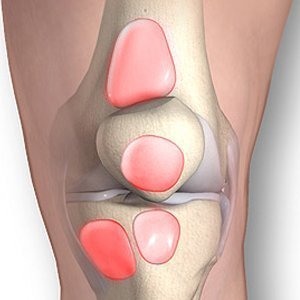 Расположение бурс коленного сустава